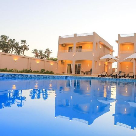 Royal Nile Villa - Pool View Apartment 1 Luxor Exteriör bild