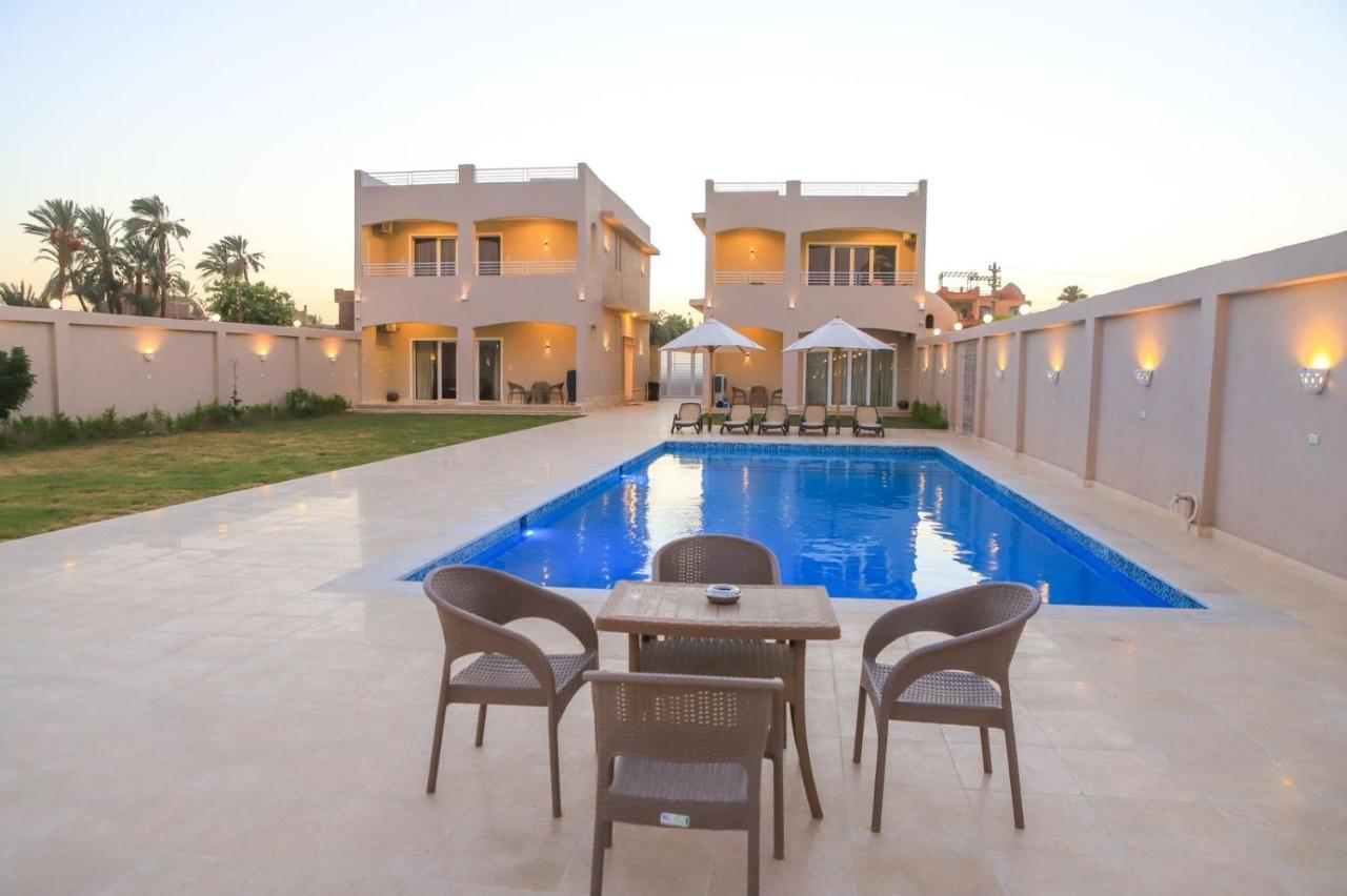 Royal Nile Villa - Pool View Apartment 1 Luxor Exteriör bild