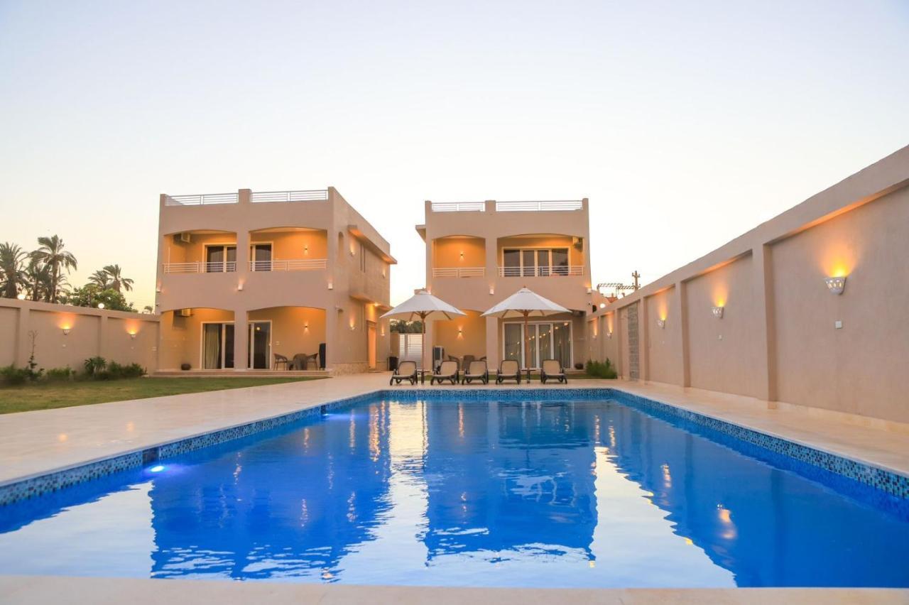 Royal Nile Villa - Pool View Apartment 1 Luxor Exteriör bild