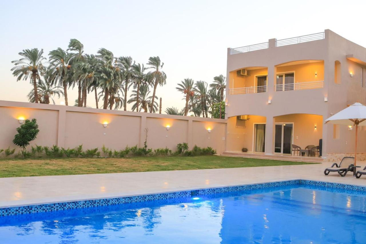 Royal Nile Villa - Pool View Apartment 1 Luxor Exteriör bild