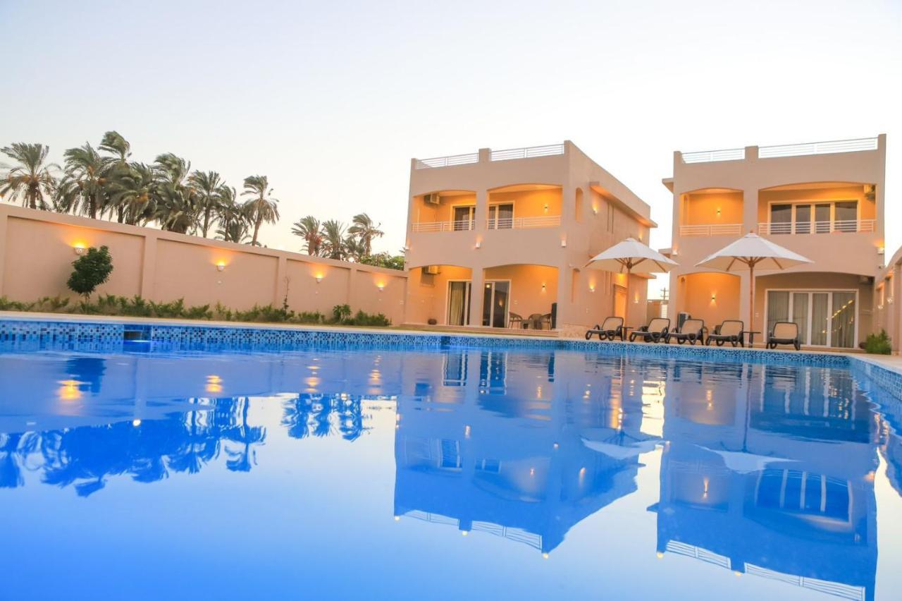 Royal Nile Villa - Pool View Apartment 1 Luxor Exteriör bild